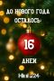 До Нового года 16 дней!