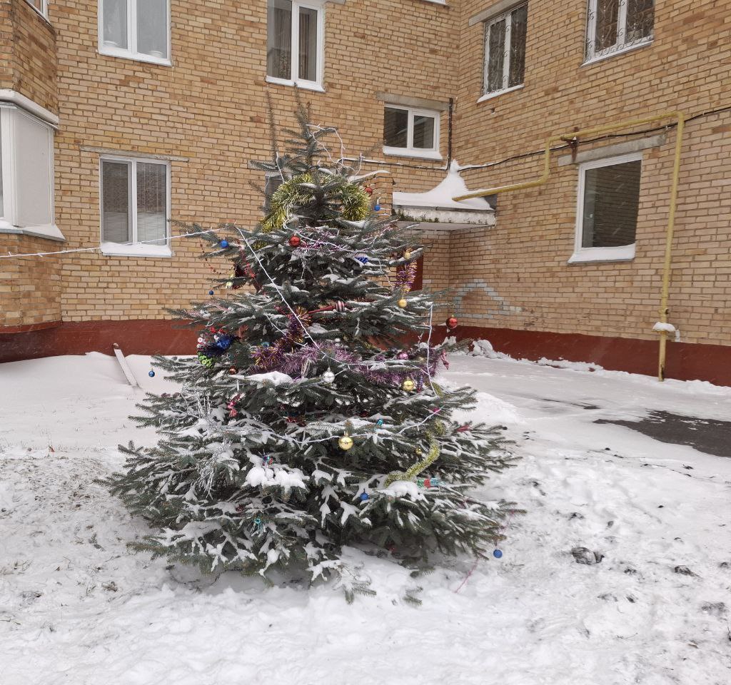 Жильцы Гагарина 17 нарядили ёлочки около своего дома, которые сами посадили 10 лет назад! Жильцы Гагарина 17 нарядили ёлочки около своего дома, которые сами посадили 10 лет назад!