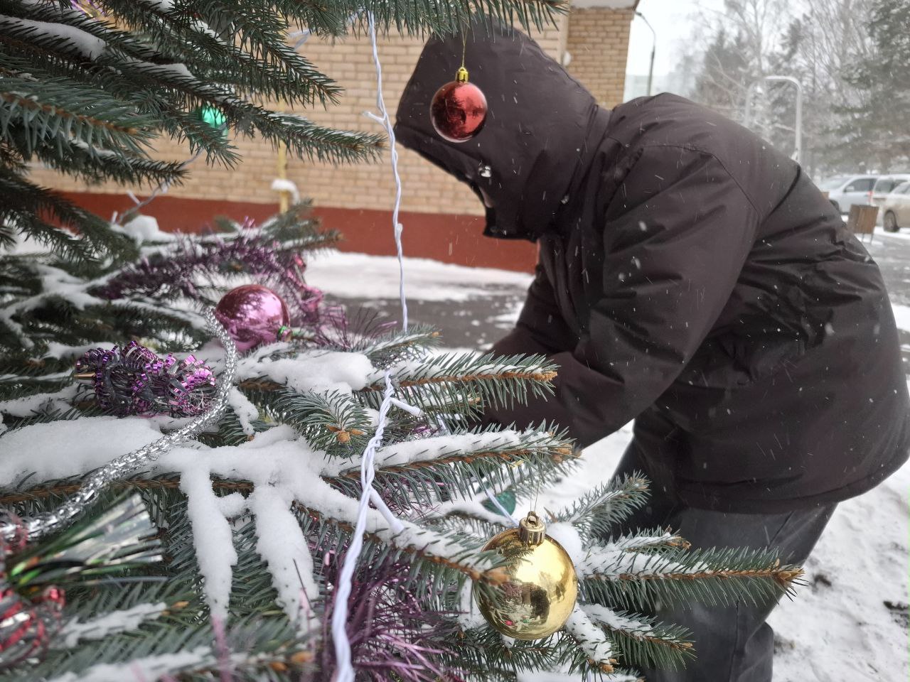 Жильцы Гагарина 17 нарядили ёлочки около своего дома, которые сами посадили 10 лет назад! Жильцы Гагарина 17 нарядили ёлочки около своего дома, которые сами посадили 10 лет назад!