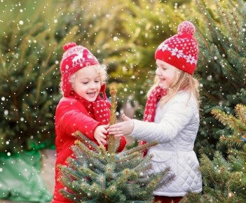 В Нижнекамске открылись ёлочные базары!