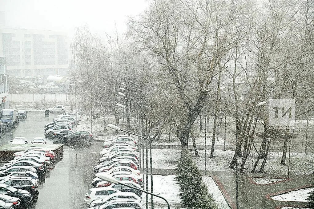 Прогноз на 17 декабря: снег, метель и гололёд