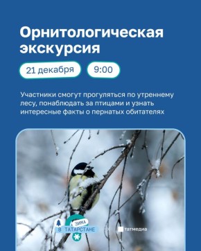 21 декабря на озере Комсомольское пройдет орнитологическая экскурсия