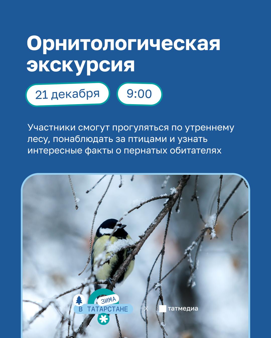 21 декабря на озере Комсомольское пройдет орнитологическая экскурсия