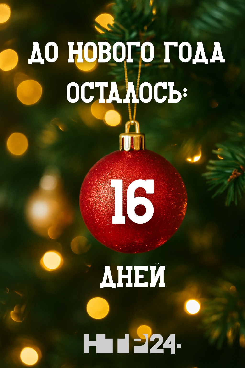 До Нового Года 16 дней!
