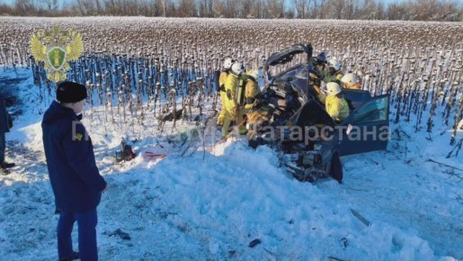 1234 В Черемшанском районе в ДТП погибли два человека