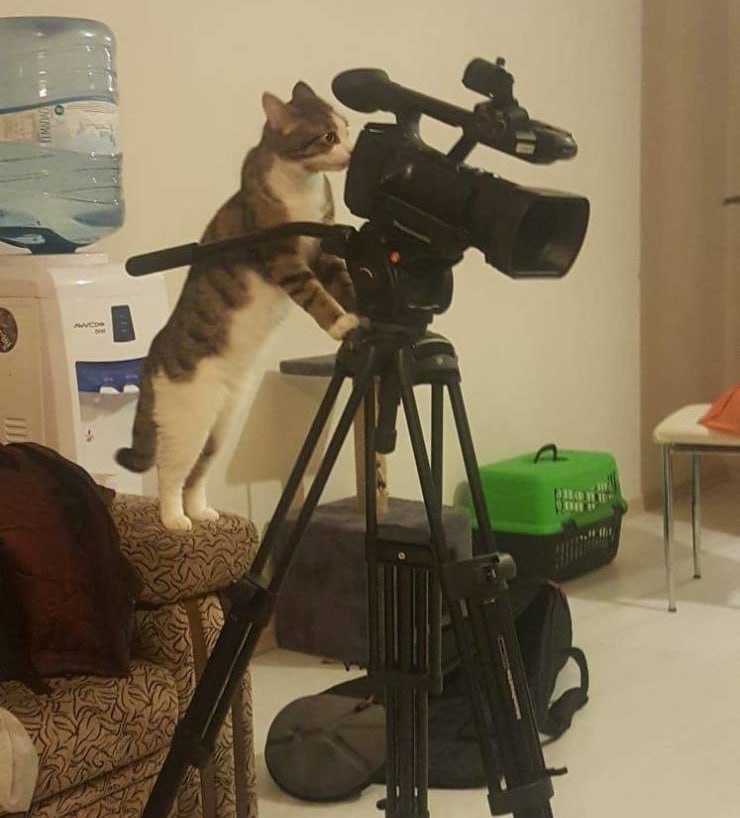 УК «ПЖКХ» вычисляет нарушителей на площадках ТКО по видеокамерам