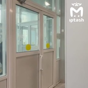 Вот этого милого добряка поздравляли всем 185 лицеем