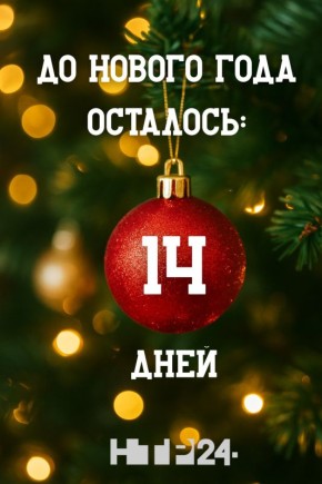 До Нового года осталось 14 дней!