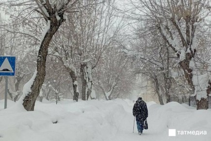 ������ � ���������� ��������� � ���������� 17 �������