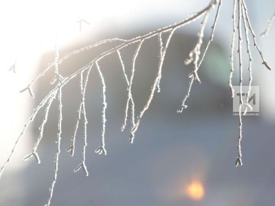 ��������: 19 ������� � ���������� ��������� ������� ����, ������ � ���������� �����