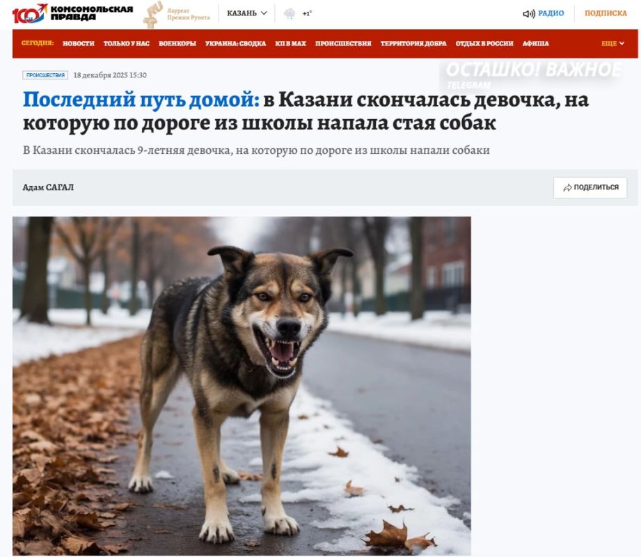 � ���������� ������������ ������� ������ ����� ��������� ���� �����