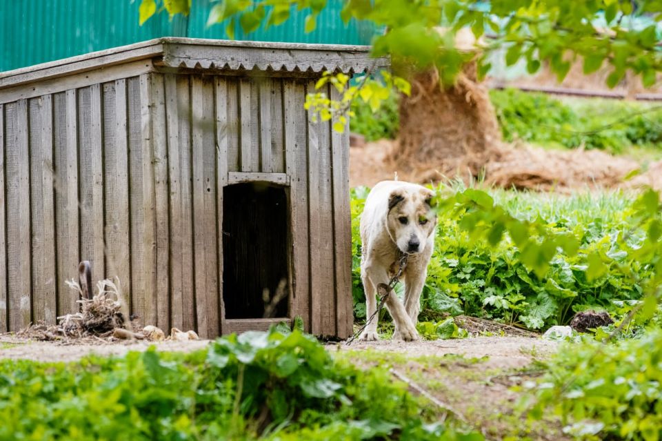 � ������ ����� ������ �������, ��� ������ ������ �� �������