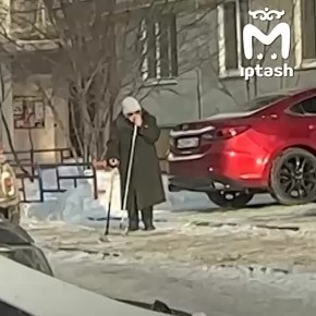 ��� ������ �� �������. ��������