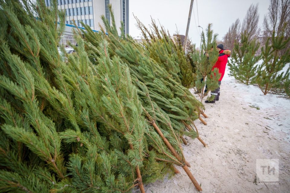 ���������� ���������� � ������ ����! � ������ ��������� ������� ������