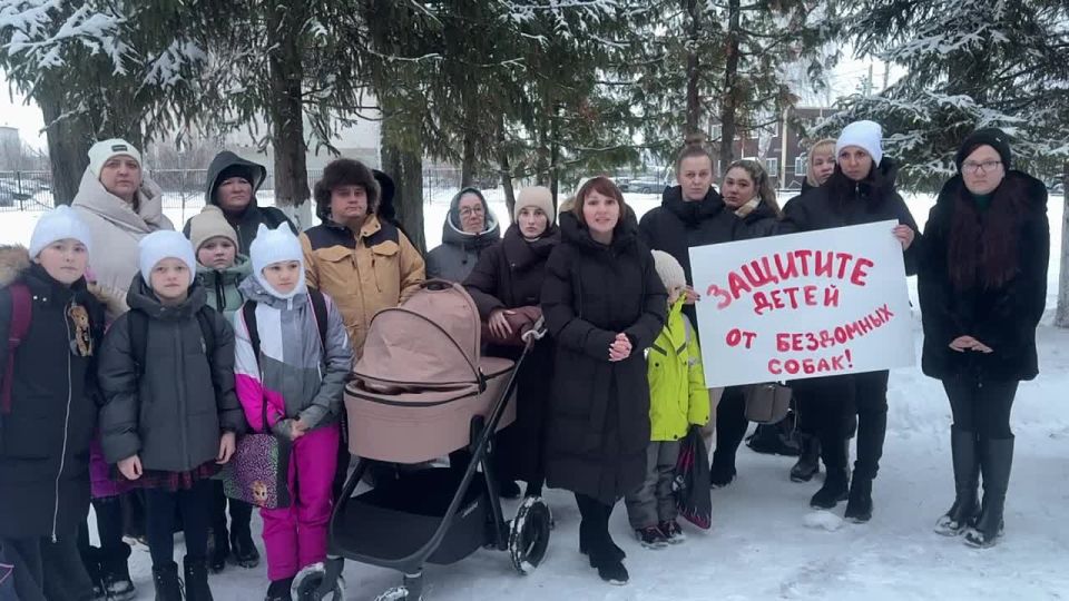 Жители Васильево требуют запретить выпуск чипированных собак на улицы