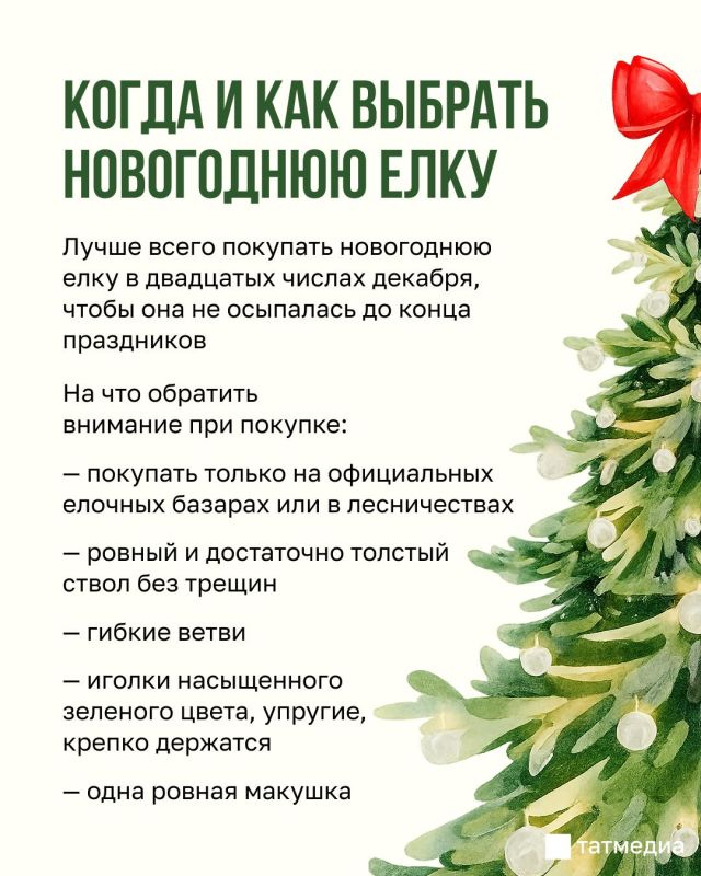 Татарстанцам напомнили о правилах безопасности при установке новогодней елки