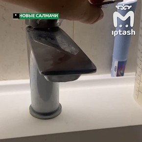 ���� ����� ��� ���� ����� ������ ����� ��������