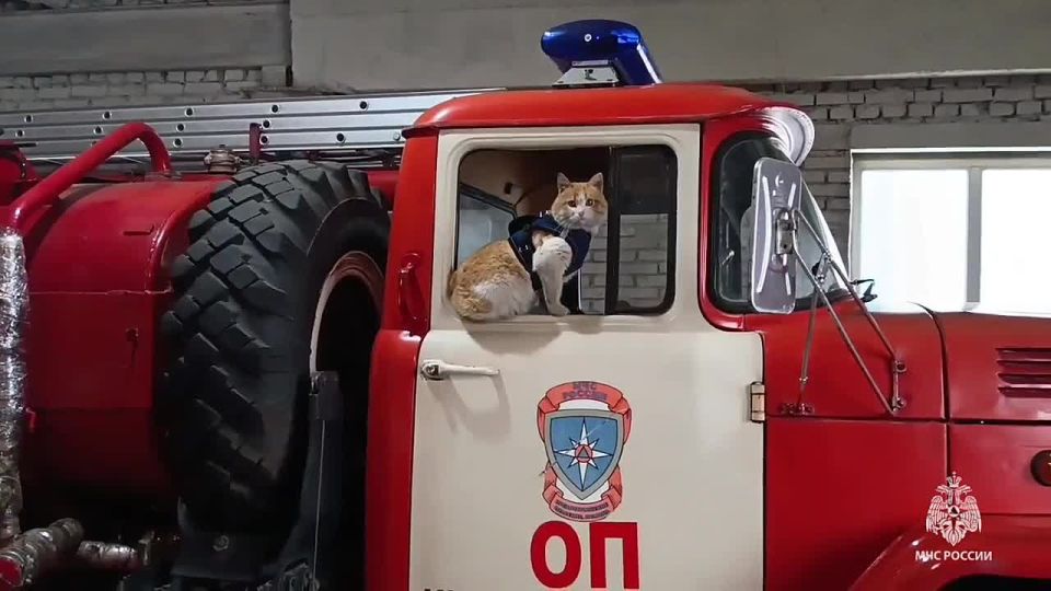 � ���������� ��� �������� ��������� ���������� - ��� �� ������ �������� 65