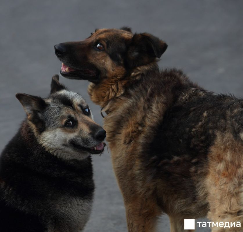 �������� �� ������ ������������, ������������ ��������� � ���������� ���������