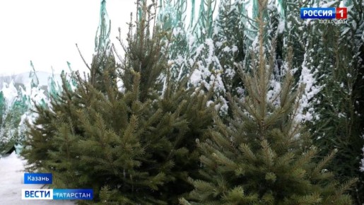 � ������ ������ ����� 150 ���� � ����������� ���������