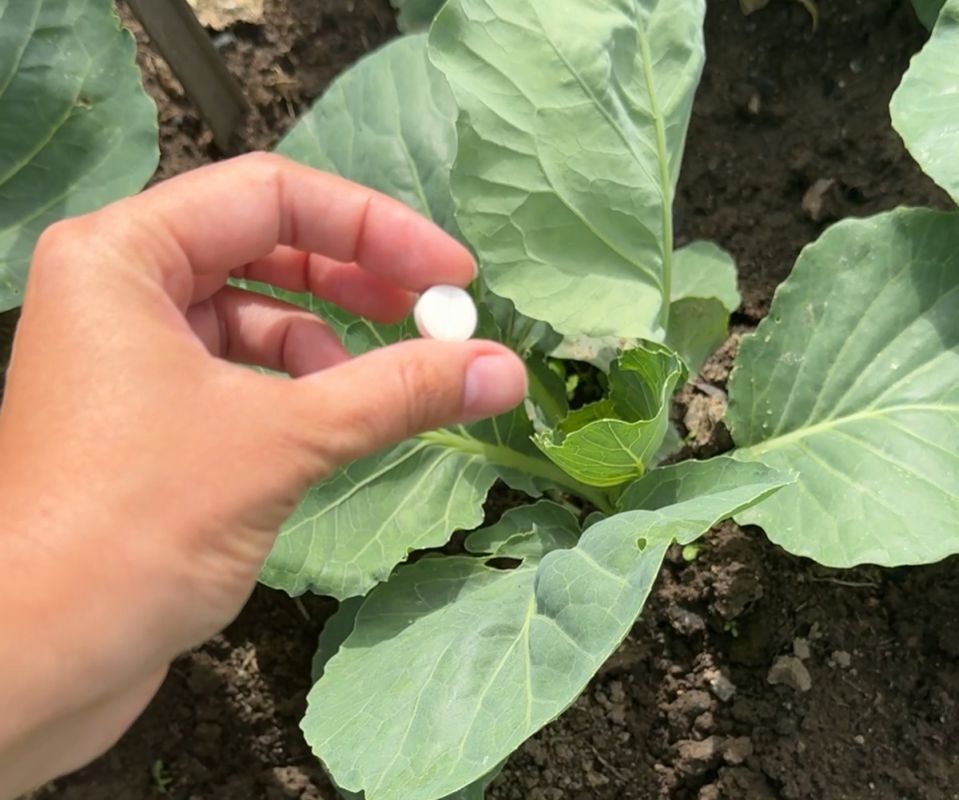 ��� ���� �������� ����� ������ ���� ������� �� ����������