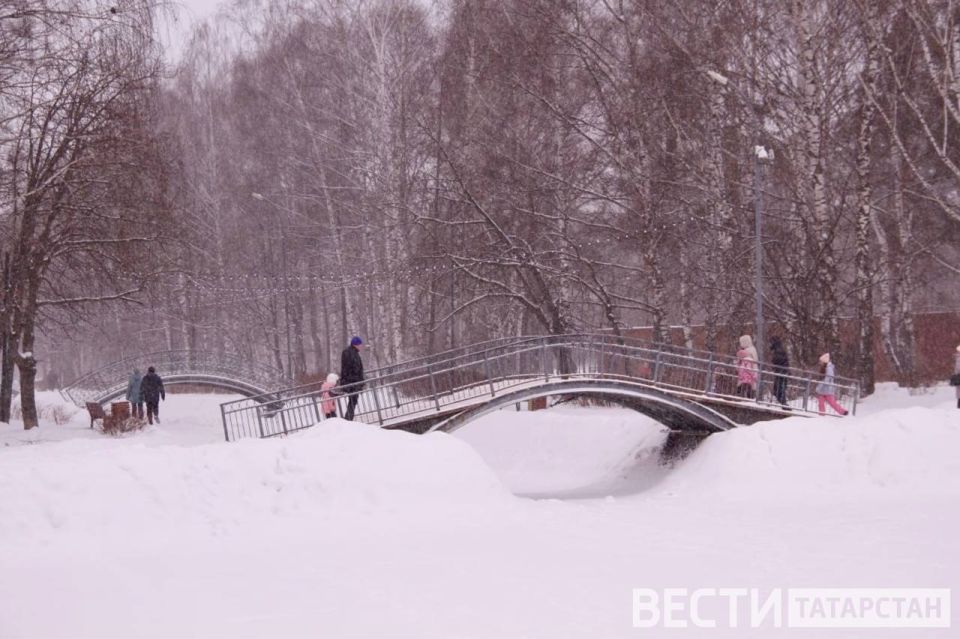 � ���������� ��������� �� 12 ��������