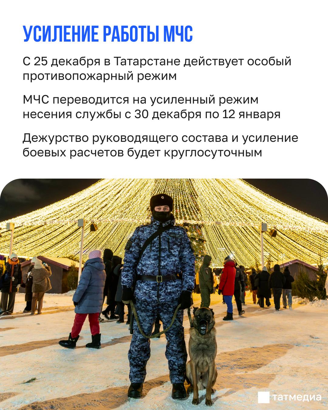 МЧС: «Одна искра от гирлянды – и все сгорит» МЧС: «Одна искра от гирлянды – и все сгорит»