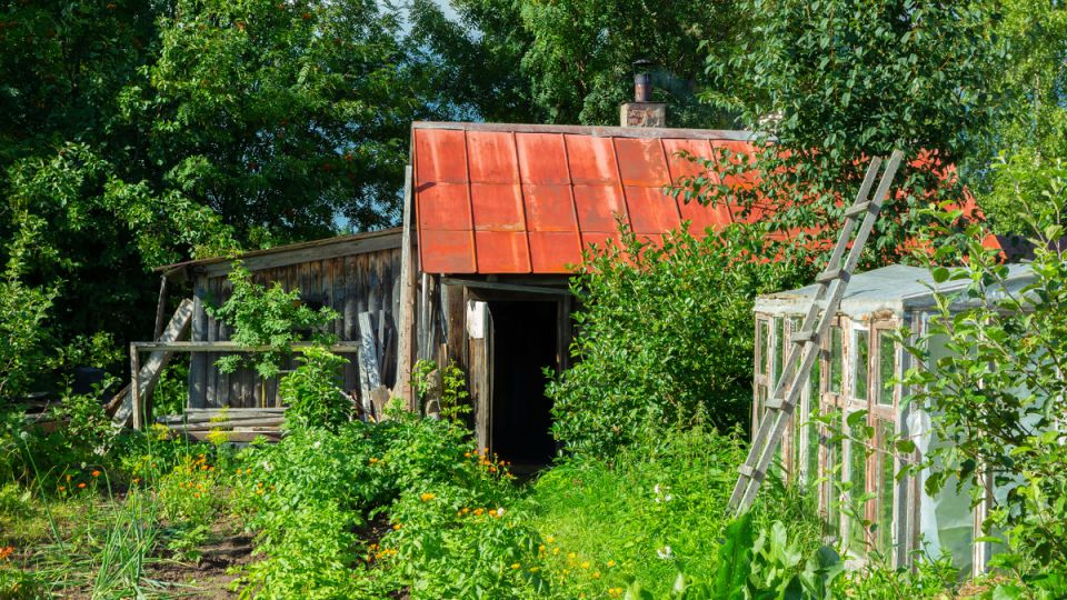 ��� ���� ����� �������� ���������� ����: ��������� ������� � �������