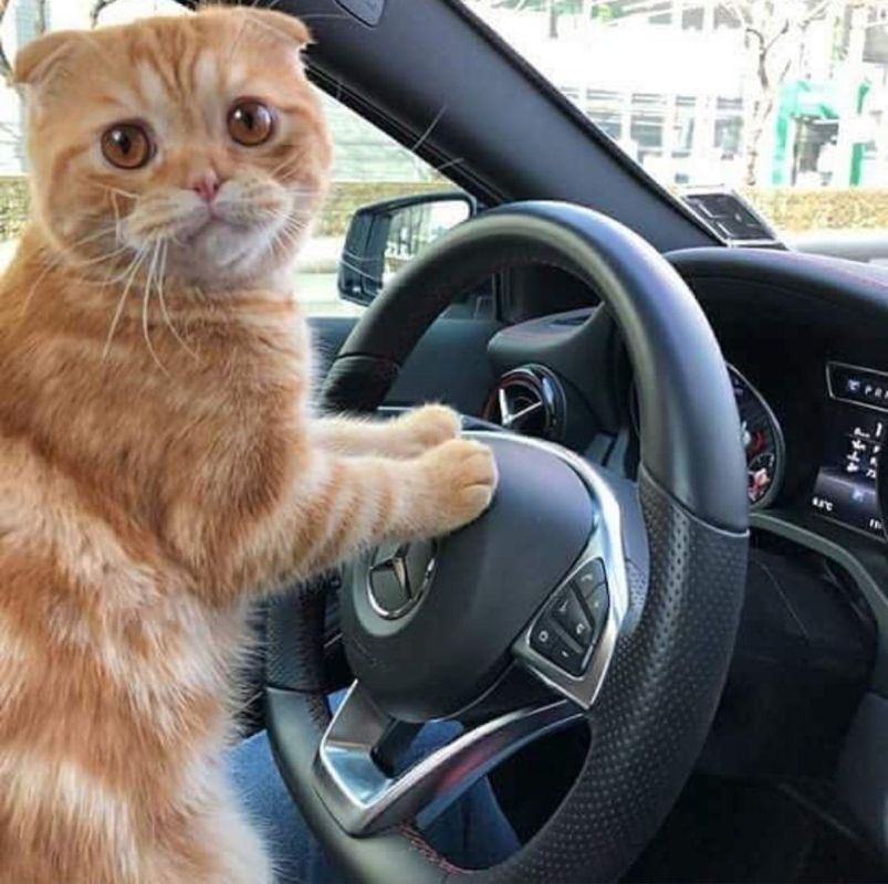 � 2026 ���� � ���������� ���������� ��������� � ��� ���� �������� �� 10%