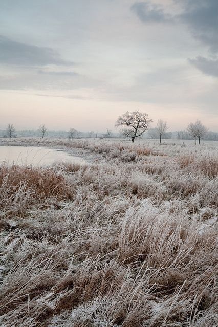 ������ ����, ���������! ����� ���, ������� �����������!