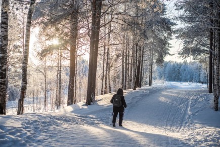 ������ � ��� ������������� �������, ������� ��������� ��������, ���� �� �� ��������������