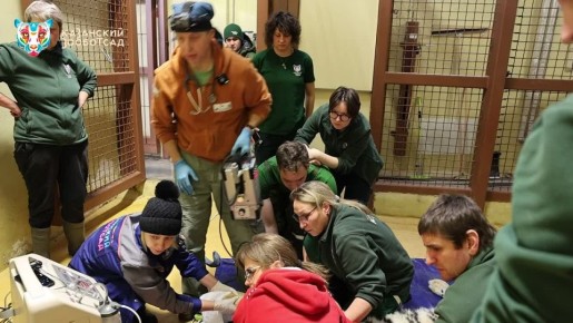 ��� �������� ������ � ��������� �������� ������� ����� ������