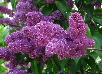 ������� ������ � ������� ��������������