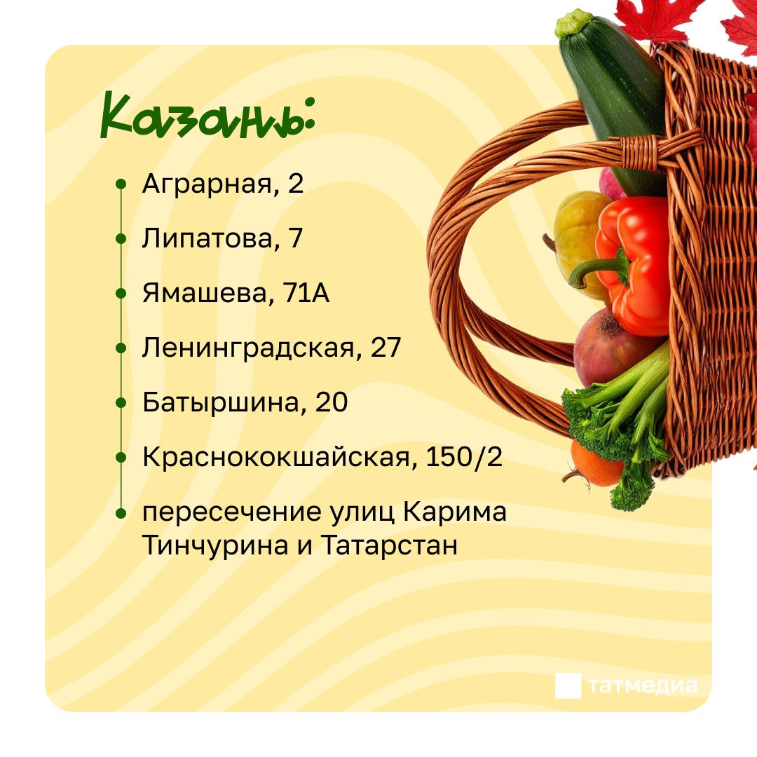 Сегодня в Казани развернутся заключительные в этом году сельскохозяйственные ярмарки Сегодня в Казани развернутся заключительные в этом году сельскохозяйственные ярмарки