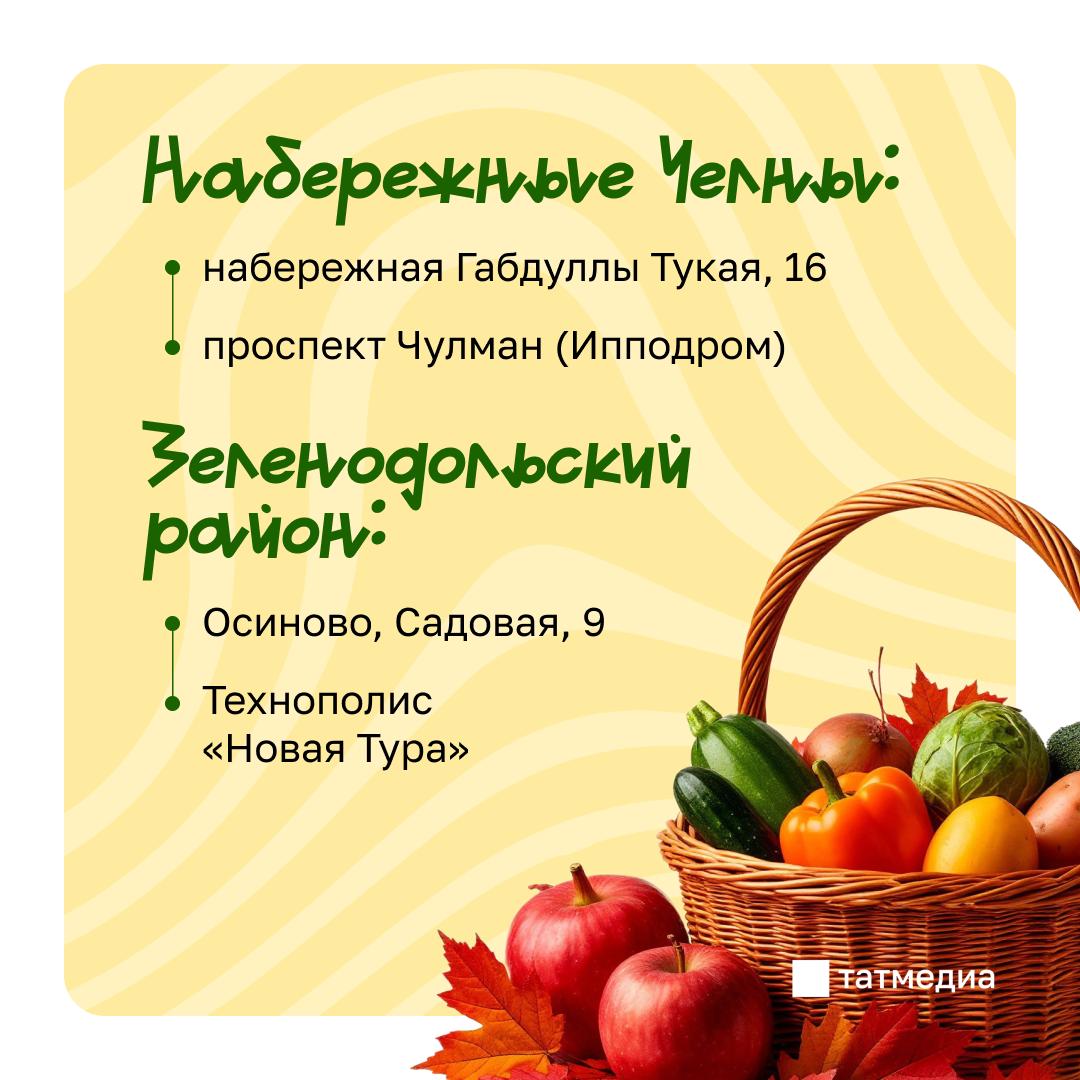 Сегодня в Казани развернутся заключительные в этом году сельскохозяйственные ярмарки Сегодня в Казани развернутся заключительные в этом году сельскохозяйственные ярмарки