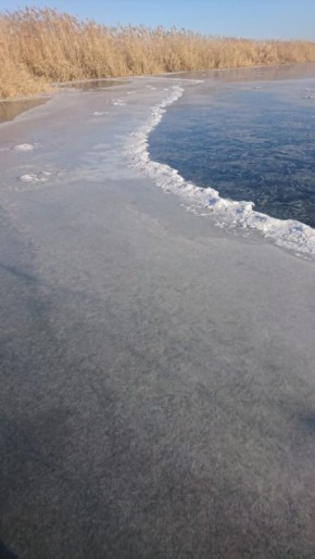 ������ ������ ������������ �����