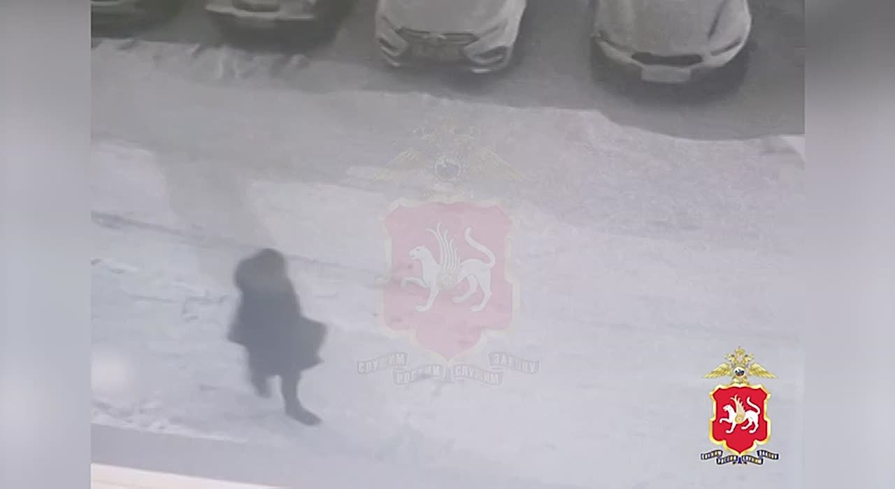 Сотрудники отдела полиции «Московский» Управления МВД России по г. Казани задержали подозреваемого в краже