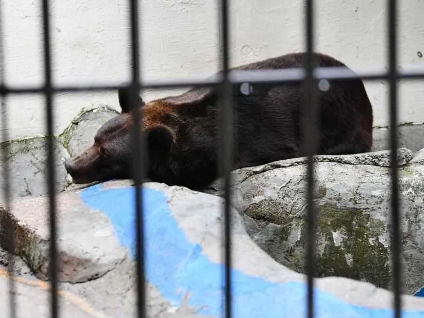 � ������ ����� ������� ���� ���� � ������