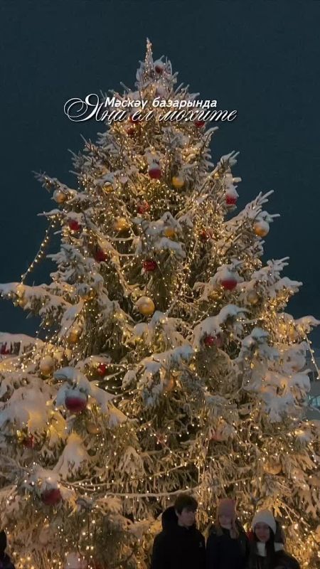 ��� ���� �������� ����� ���������� �������?