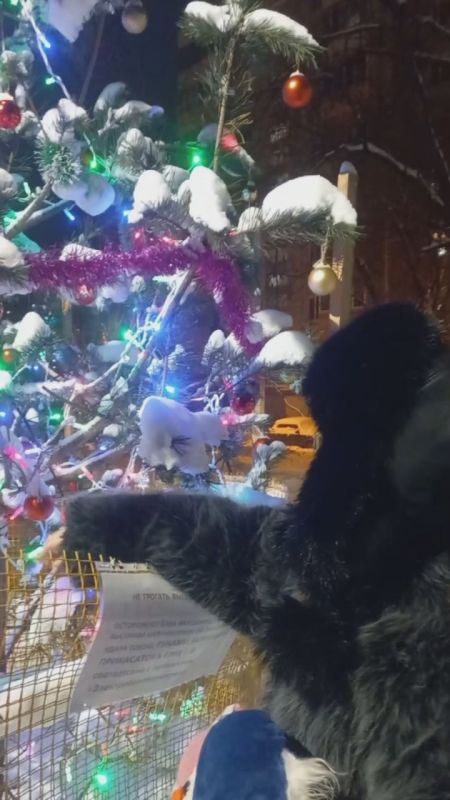 ������� �������� ������� ���������� � ���� ����