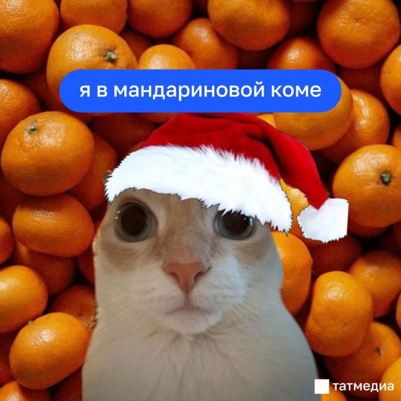 �� ������� ��� ��� ���������� ��������