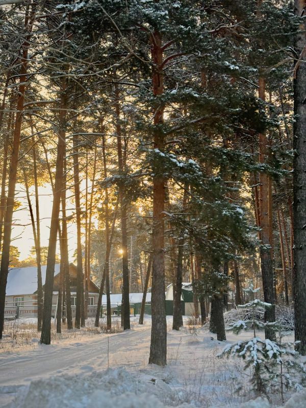 ������ ����, ���������! ����� ���, ������� �����������!