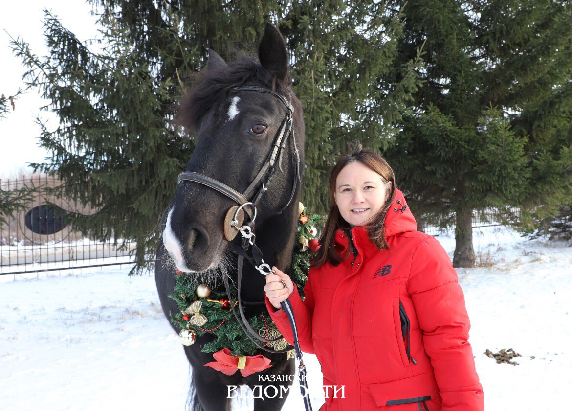 Чему учат лошади детей с ОВЗ Чему учат лошади детей с ОВЗ