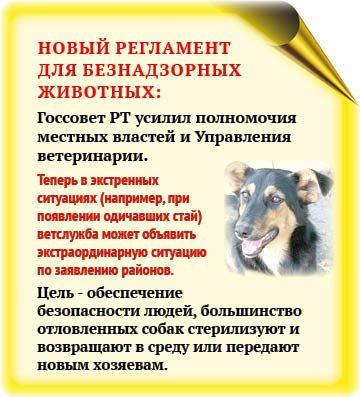 �������� �� ������ ����� ������ � ������������, ������� � ���������