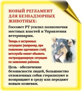 �������� �� ������ ����� ������ � ������������, ������� � ���������