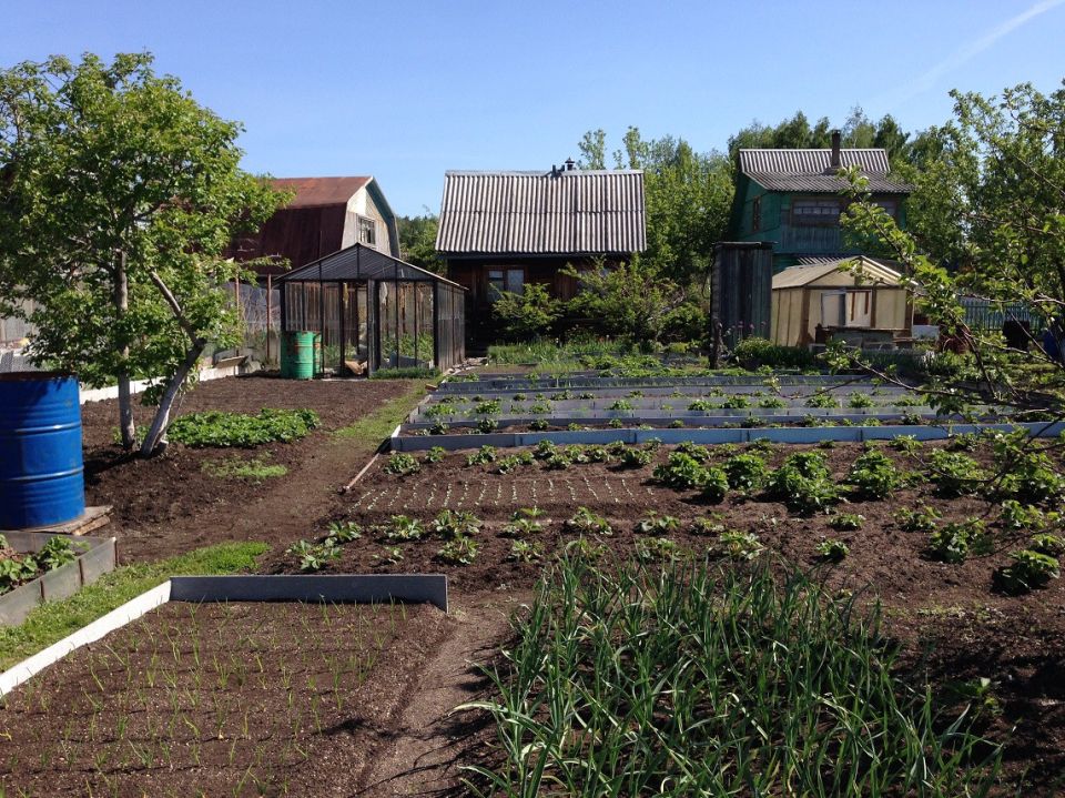 ����� ������� ��� ���������������: ��� �������� ������� � �������������