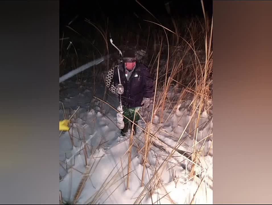 Спасатели нашли в камышах пропавшего рыбака на Каме