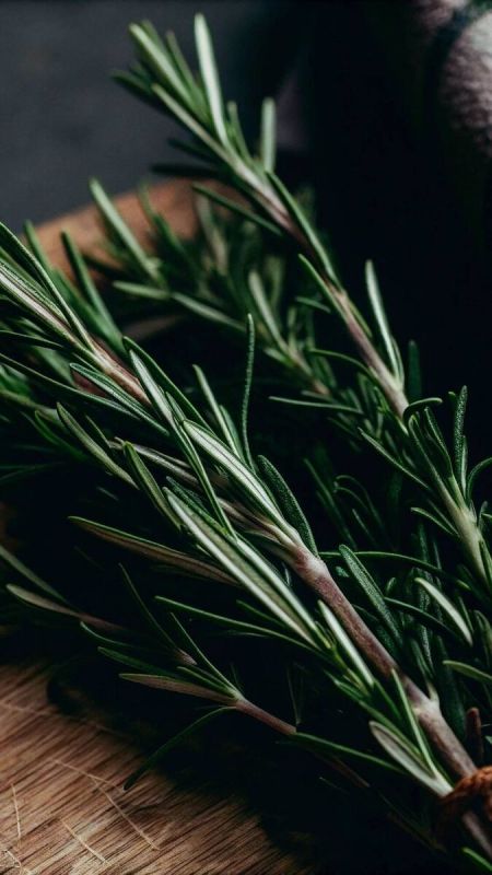 ��������: ��������� ���������� � ������ � �������� �����������