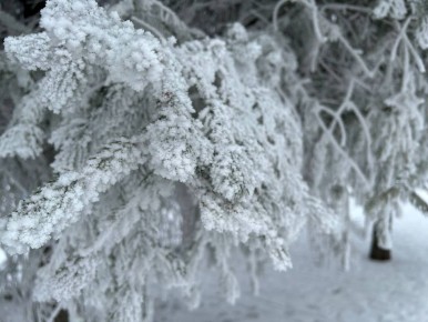 ������� ��������� �� -10 ��������, ��� �������