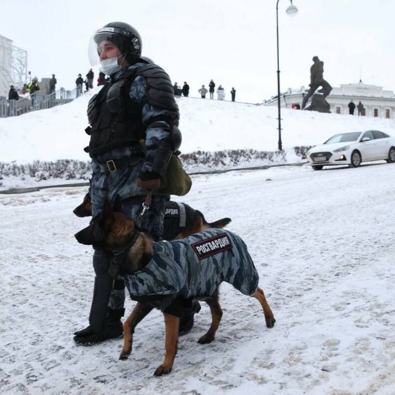 В Татарстане в дни открытия елочных городков и в новогоднюю ночь за безопасностью следили свыше 2,5 тысячи сотрудников полиции